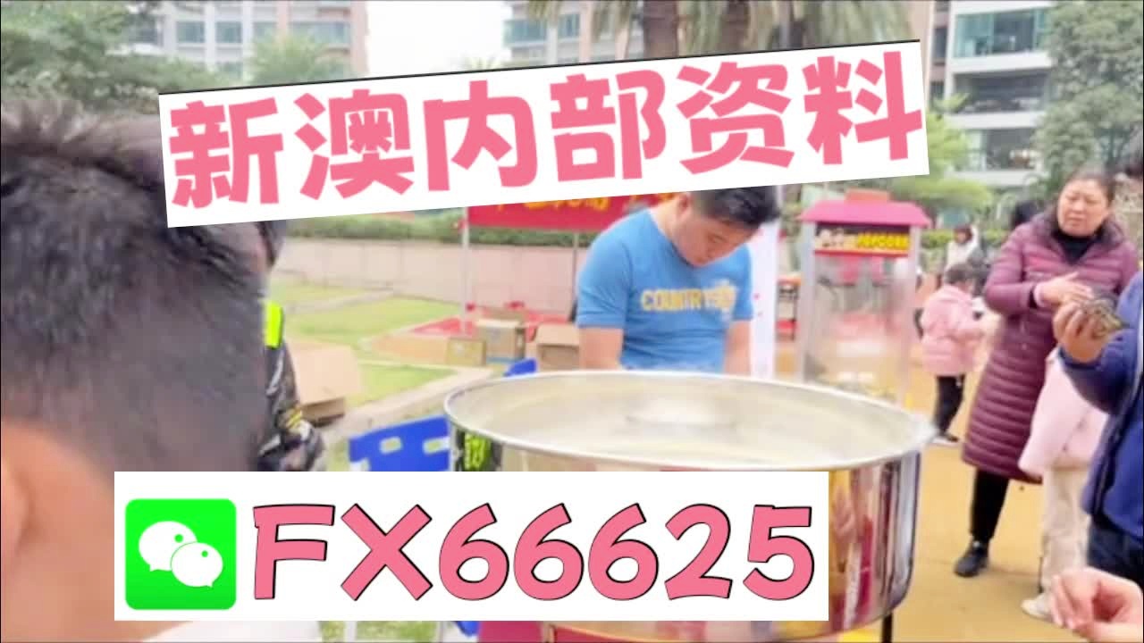 新奧2025正版資料大全，全面解析與深度探索，新奧2025正版資料大全，全面解析與深度探索揭秘