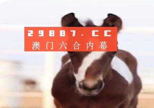 澳門一肖一碼一待一中資料，深度解析與探索，澳門一肖一碼深度解析與探索揭秘資料