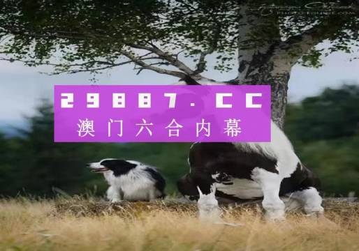 澳門天天空彩官網(wǎng)資料，探索彩票世界的門戶，澳門天天空彩官網(wǎng)資料，彩票世界探索門戶