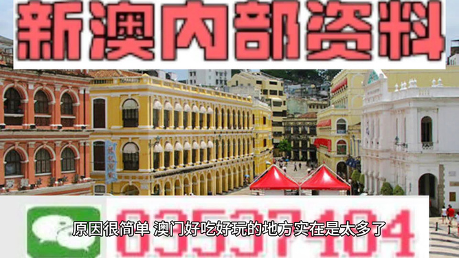 澳門精準資料大全免費，探索與解析，澳門精準資料大全免費解析探索