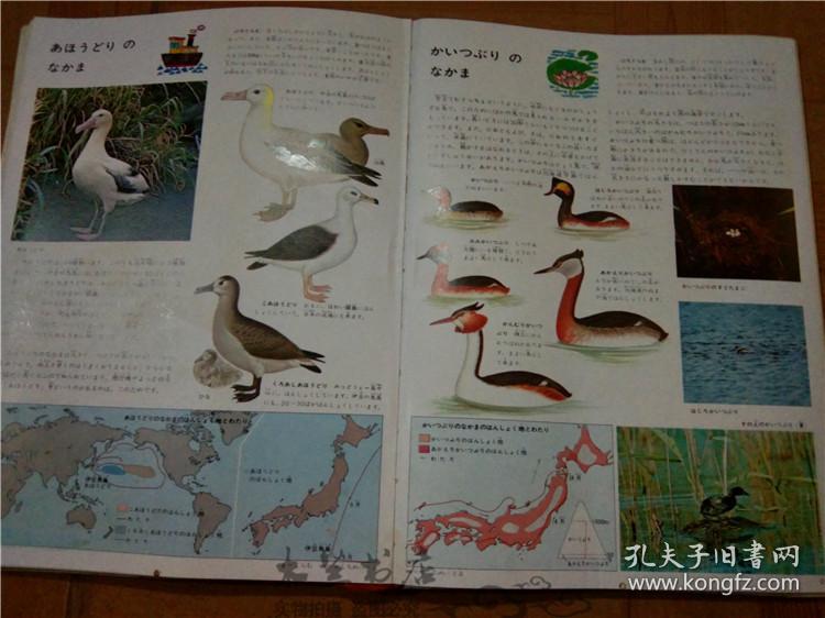今日正版跑狗圖分享，探索7777788888跑狗圖的魅力，今日正版跑狗圖分享，探索魅力十足的777778跑狗圖