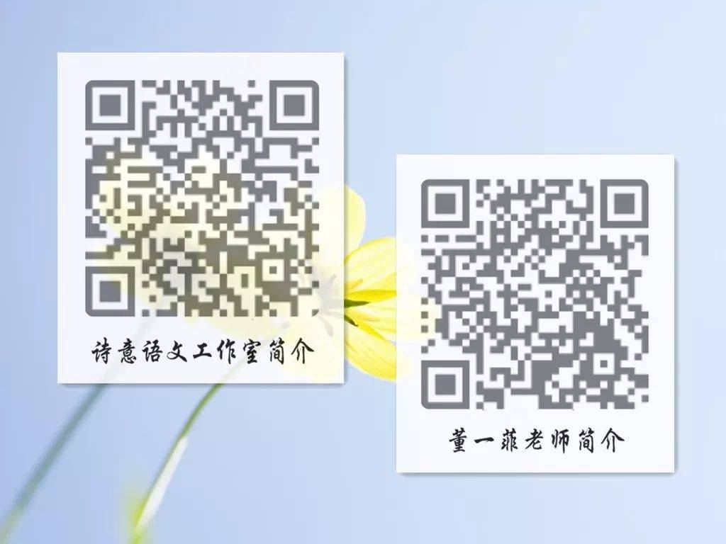 一碼一肖一特一，揭秘背后的秘密與獨特之處，揭秘一碼一肖一特一的獨特之處與背后秘密