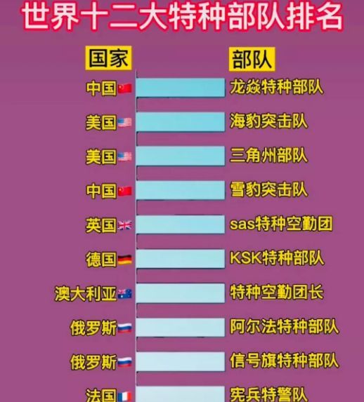 中國(guó)十大王牌特種部隊(duì)，實(shí)力與榮耀的象征，中國(guó)十大王牌特種部隊(duì)，實(shí)力與榮耀的巔峰標(biāo)志