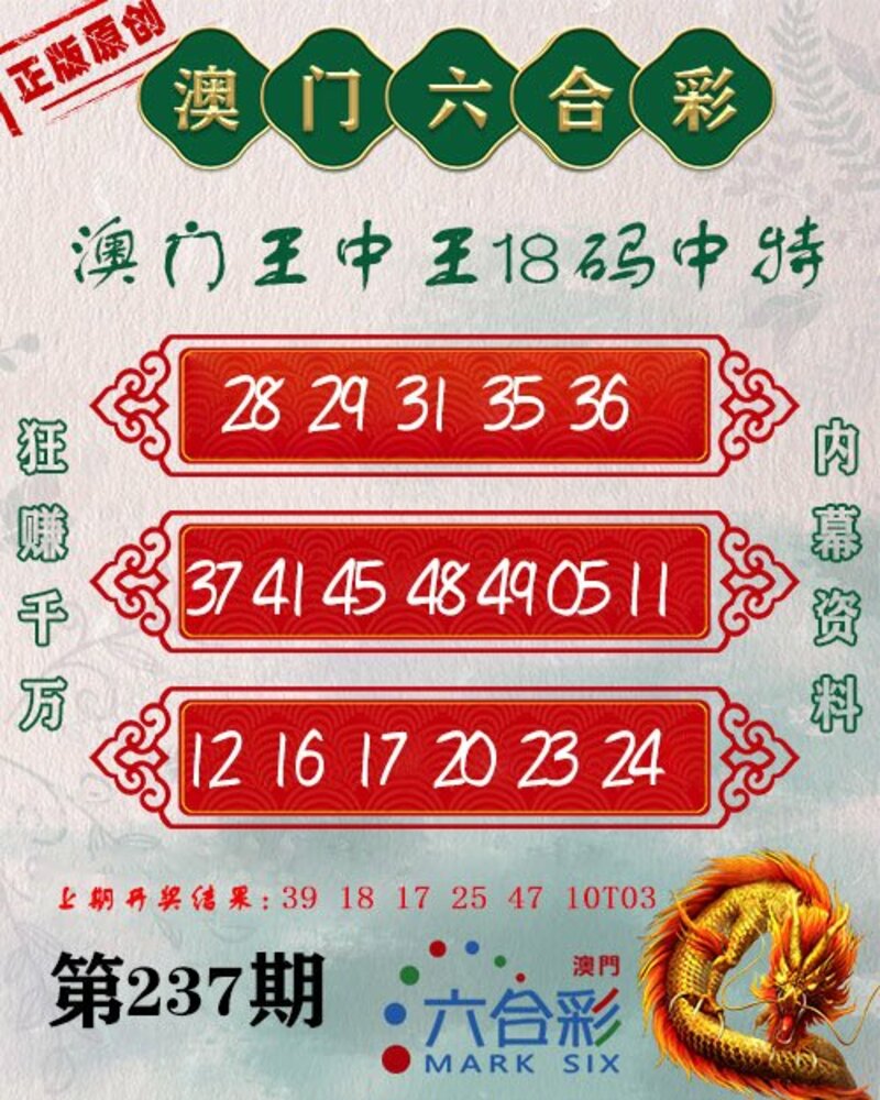 新澳門(mén)王中王期期中，探索與解析，新澳門(mén)王中王期期中，深度探索與解析