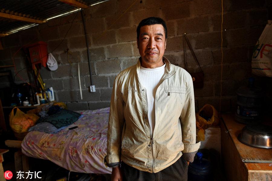 博科圣地組織，深度解析與理解，博科圣地組織深度解析與探究