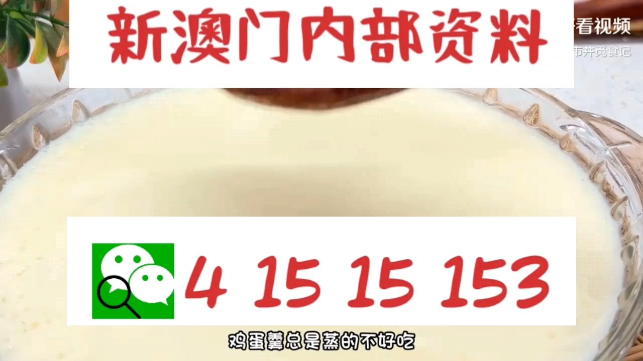 新澳門中特網中特馬，探索與解析，澳門中特馬探索與解析指南