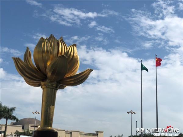 背后的秘密與獨(dú)特魅力