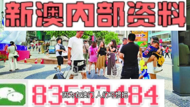 澳門資料大全新版本優(yōu)勢，澳門資料大全新版優(yōu)勢解析