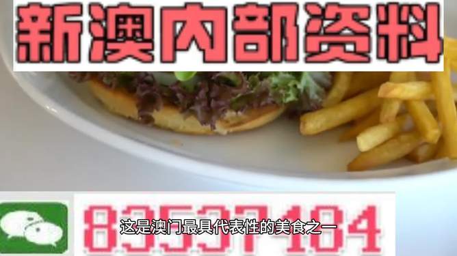 新澳2024生肖最新資料解析與預(yù)測，新澳2024生肖解析與預(yù)測報告