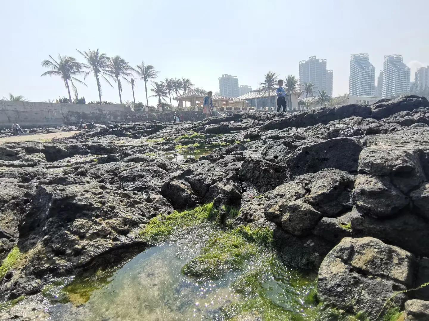 解放海南島電視劇全集下載，探尋30集完整劇情，解放海南島電視劇全集下載，探尋完整的30集劇情探索