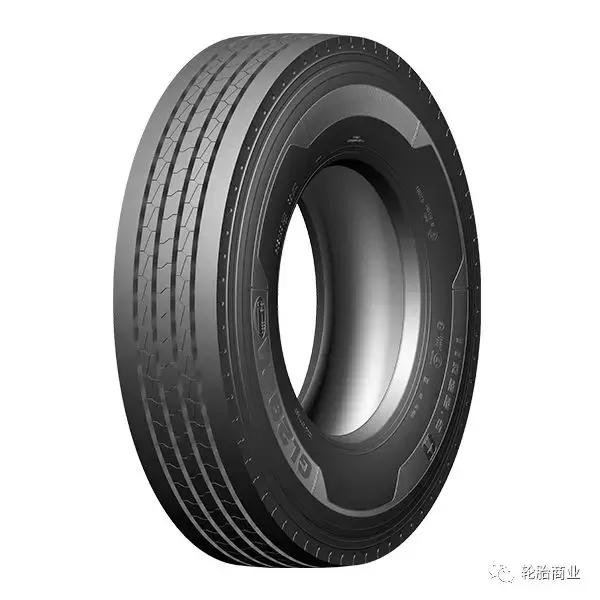 王中王295期指一生肖，揭秘生肖運勢與預(yù)測背后的秘密，揭秘生肖運勢預(yù)測，王中王295期生肖運勢背后的秘密探索