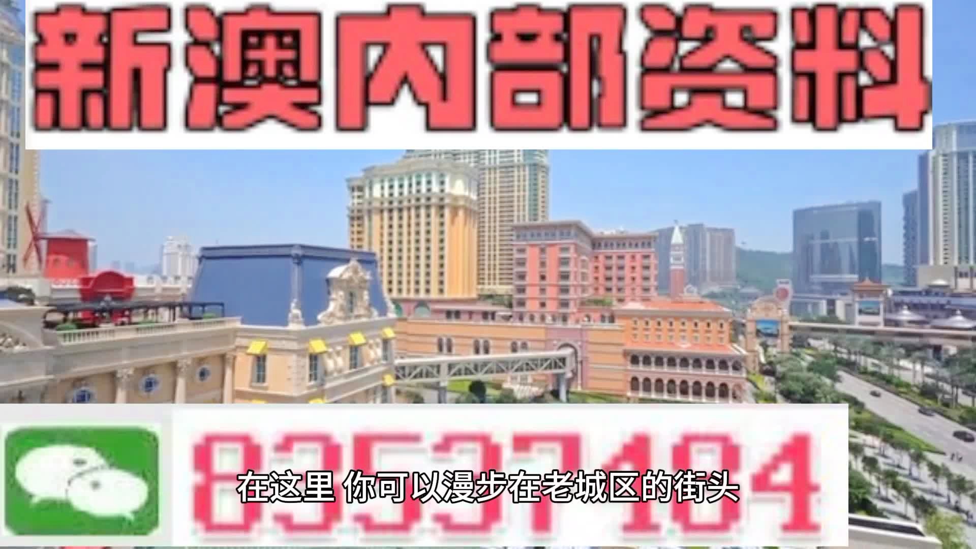新澳門期期準精準，探索澳門的未來與SEO策略，澳門未來展望與SEO策略探索，精準瞄準新機遇