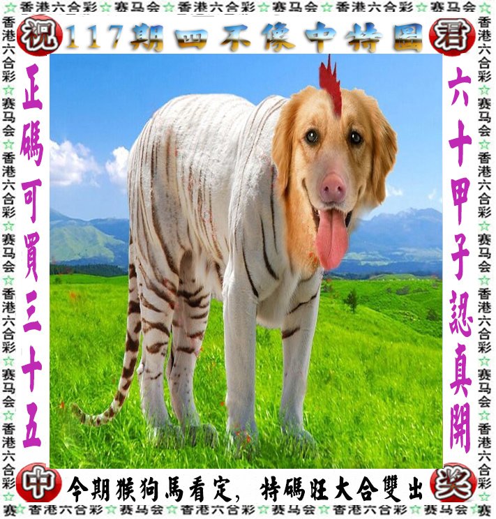 王中王四不像一肖論壇，探索神秘論壇的世界，王中王四不像一肖論壇，神秘論壇世界的探索之旅