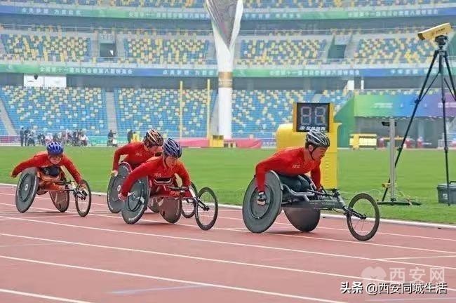 2025年澳門精準免費大全——全面解析澳門未來展望與特色體驗，澳門未來展望與特色體驗解析，澳門精準免費大全（2025版）