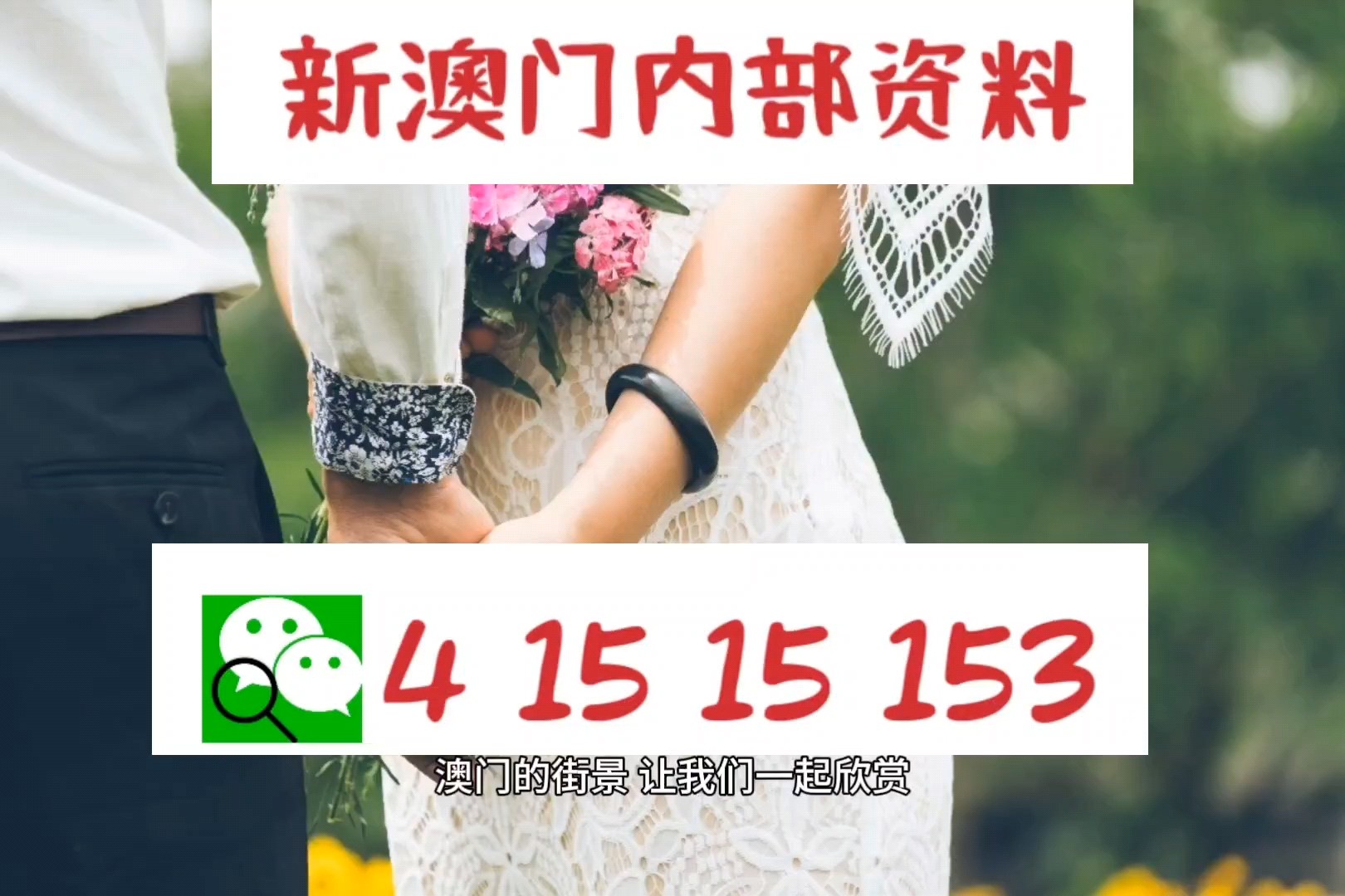 新澳正版資料免費(fèi)提供，全面解析與深度探索，新澳正版資料全面解析與深度探索，免費(fèi)提供的指南