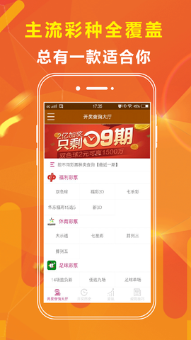 王中王正版一肖資料大全，深度解析與探索，王中王正版一肖資料大全，深度剖析與探索