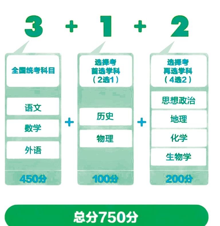 全面解析與深度探索（或解析和探索
