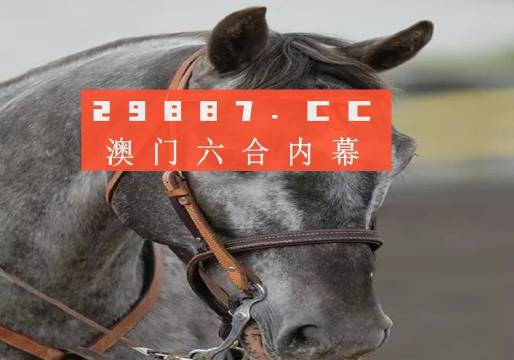 今晚澳門精準(zhǔn)一肖一馬預(yù)測，揭秘生肖與馬匹的神秘聯(lián)系，揭秘生肖與馬匹的神秘聯(lián)系，澳門精準(zhǔn)一肖一馬預(yù)測今晚揭曉