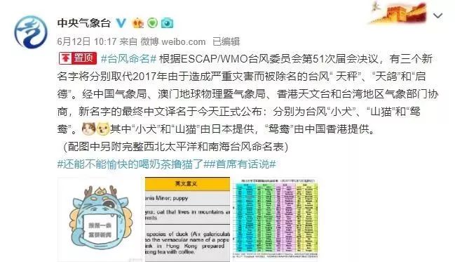 新澳門必中三肖三碼三期必開劉伯，揭秘彩票背后的秘密與策略，揭秘彩票背后的秘密與策略，劉伯的新澳門三期必開三肖三碼預(yù)測技巧