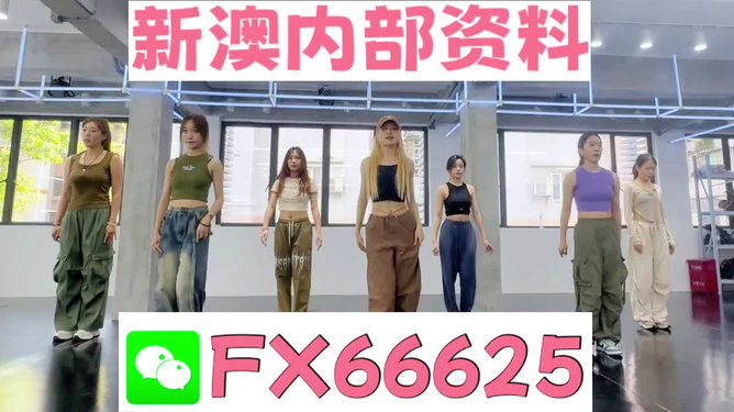 新澳一肖，探索與解析，新澳一肖，深度探索與解析