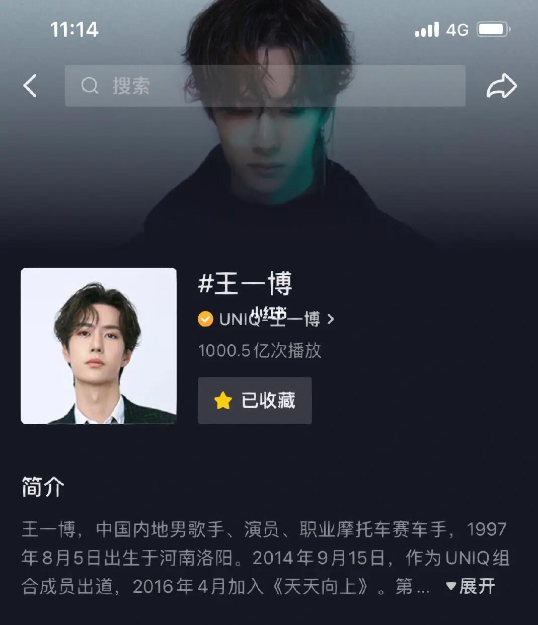 王中王一肖內(nèi)部資料詳解，王中王一肖內(nèi)部資料深度解析