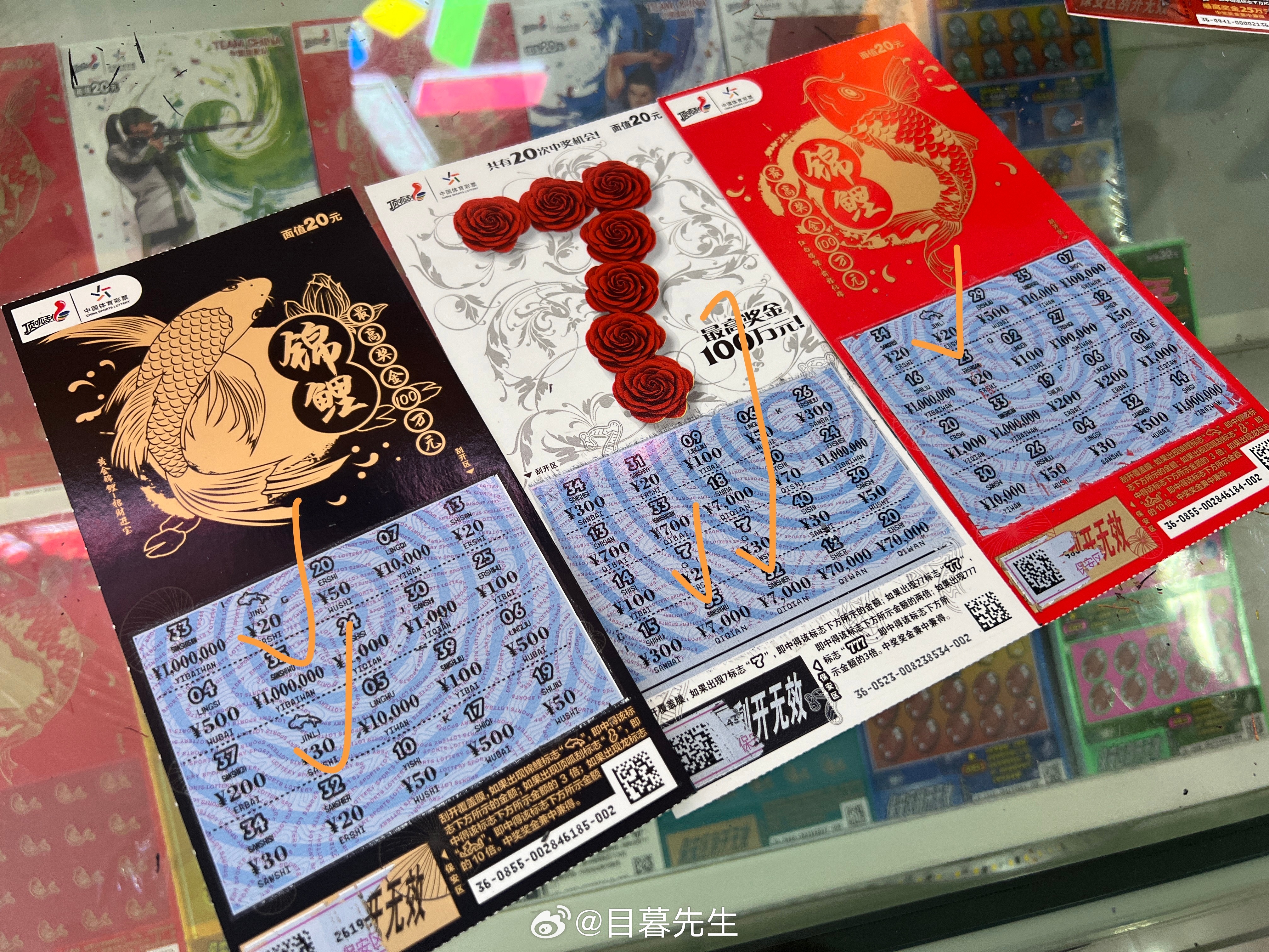 全年王中王一肖中特，深度解析與預(yù)測，全年王中王一肖深度解析與預(yù)測，揭秘特肖趨勢