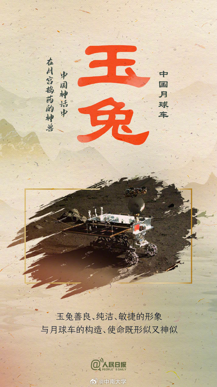 揭秘王中王平特一肖免會公開的奧秘，王中王平特一肖免公開揭秘奧秘
