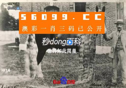 澳門王中王心水王中王，探索與解析，澳門王中王心水奧秘，深度探索與解析