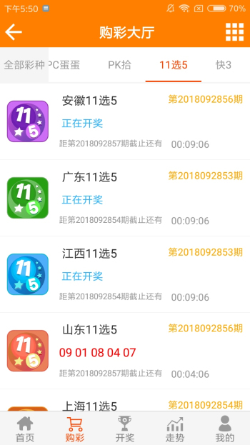 王中王黃金一肖二碼資料，深度解析與SEO優(yōu)化，王中王黃金一肖二碼資料深度解析與SEO優(yōu)化技巧