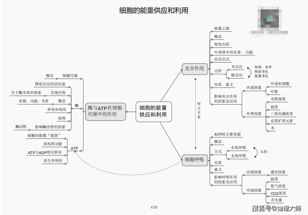揭秘劉伯溫四肖三期內必出一，神秘預言背后的真相，劉伯溫四肖三期預言真相揭秘，神秘預言背后的必然與偶然