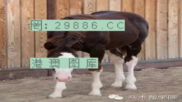 揭秘446999一肖中特馬之秘密，掌握中獎玄機！，揭秘特馬中獎玄機，446999一肖中的秘密大揭秘！