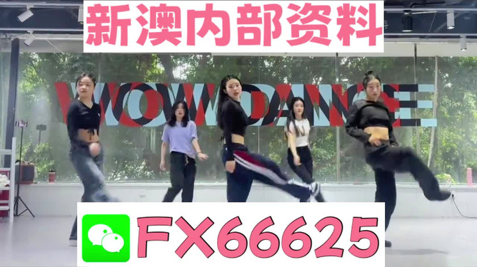 新澳精準資料免費提供，探索與實踐的指南，新澳精準資料免費分享，探索與實踐的導(dǎo)航指南