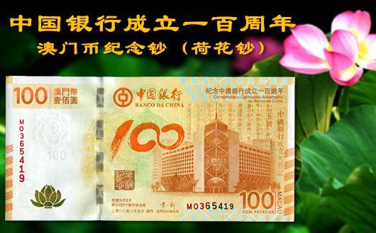 新澳門掛牌正版掛牌完整掛牌，探索與解析，澳門正版掛牌詳解，探索完整流程與解析