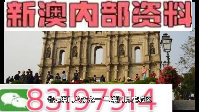 今晚澳門買什么最好？全方位解讀帶你走向勝利之路，澳門今晚買什么最佳？全方位指南引領(lǐng)你走向勝利之路