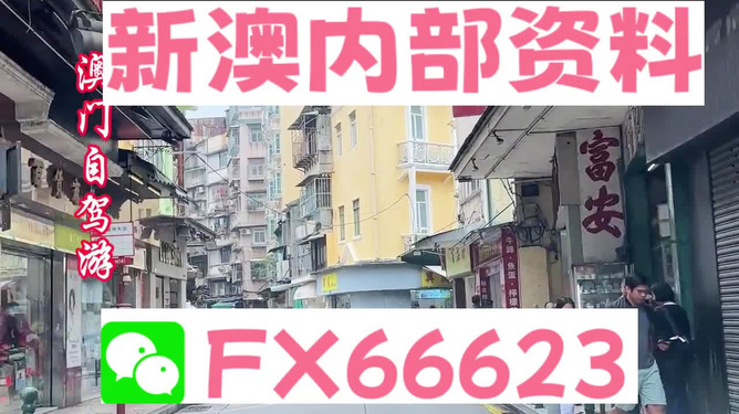 新澳精準(zhǔn)資料免費(fèi)提供，一站式獲取優(yōu)質(zhì)信息資源的指南，新澳精準(zhǔn)資料免費(fèi)獲取，一站式優(yōu)質(zhì)信息資源指南