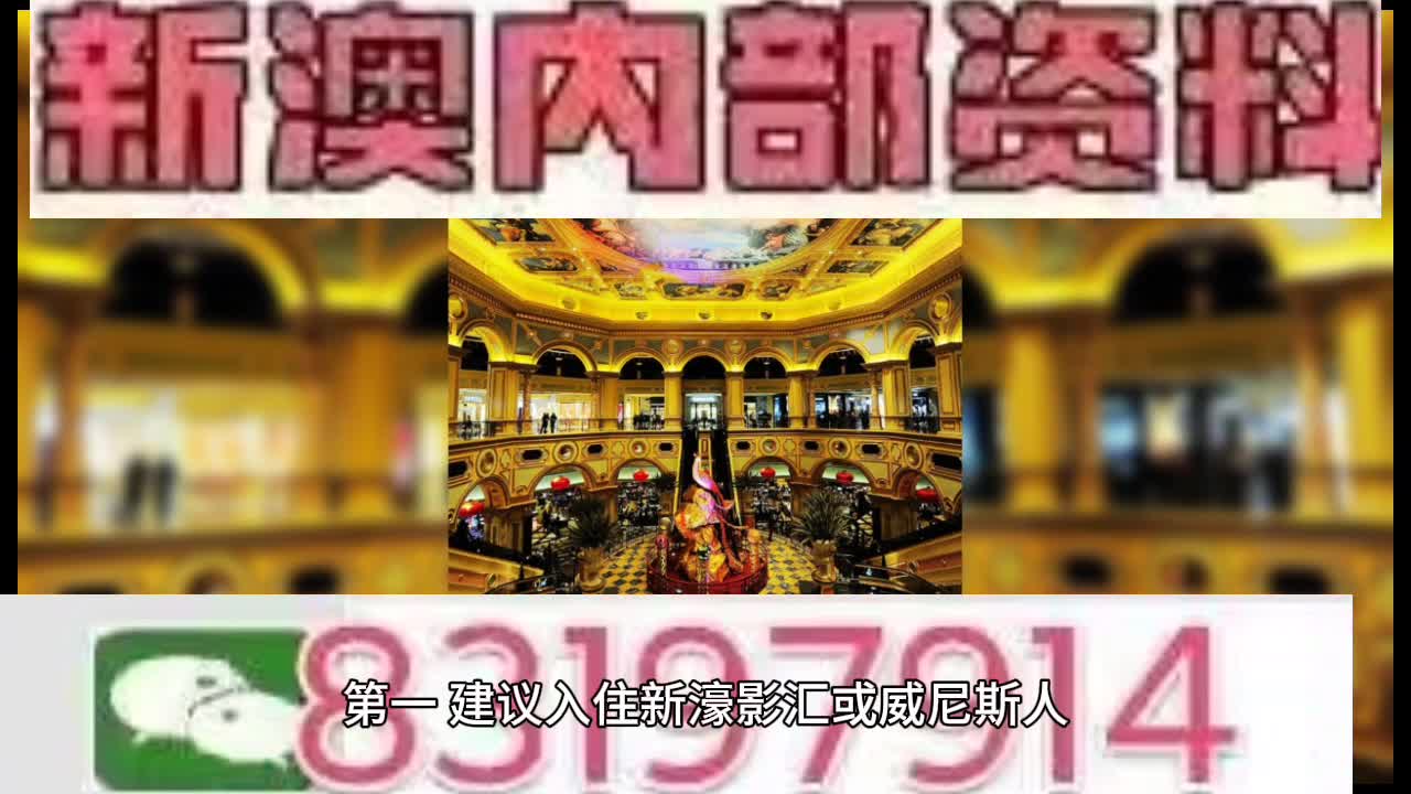 澳門王中王一肖中特馬的奧秘與探索，澳門王中王一肖中特馬的奧秘探索之旅