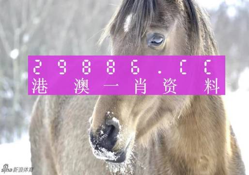 揭秘最準(zhǔn)一肖一碼，探尋神秘的生肖預(yù)測(cè)奧秘，揭秘生肖預(yù)測(cè)真相，最準(zhǔn)一肖一碼探尋記