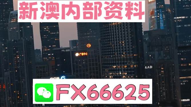 澳門跑狗，探索與解析，澳門跑狗，探索與解析之道