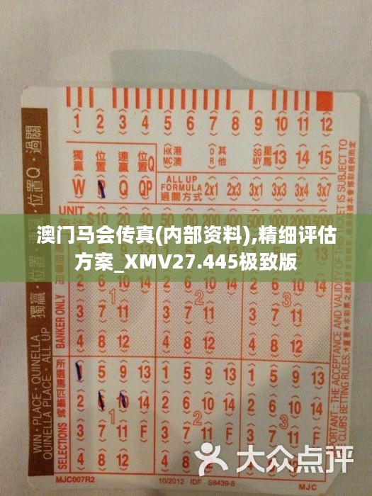 魅力與價值探索