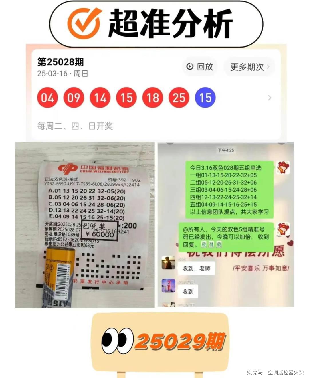 揭秘一肖中特期期準資料，免費公開，準確預測的未來展望，揭秘一肖中特期期準資料，精準預測未來展望，免費公開大揭秘