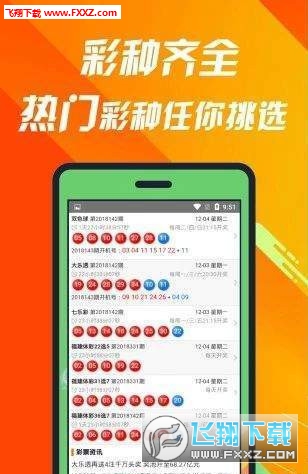 深度解析與預(yù)測策略