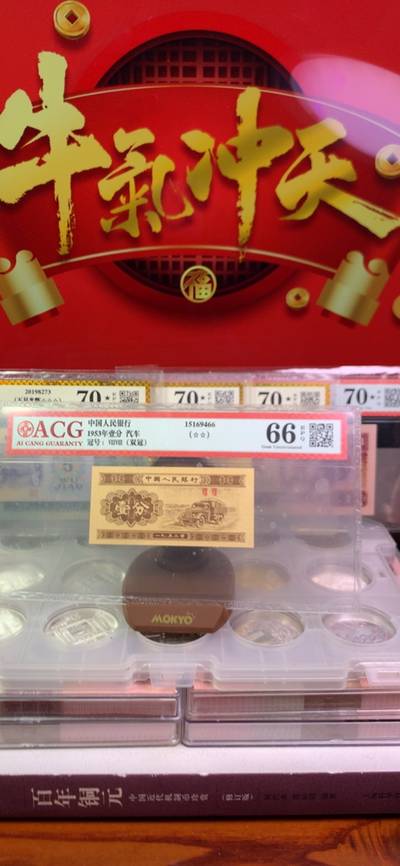 王中王廣東一肖，探尋背后的故事與奧秘，王中王廣東一肖，背后的故事與奧秘探尋