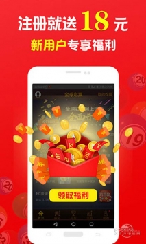 王中王一肖中打一，深度解析一種獨特的文化現(xiàn)象，王中王一肖中打一，獨特文化現(xiàn)象的深度探究