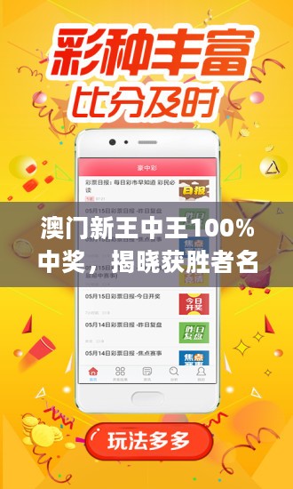 王中王藏寶閣猜一肖，揭秘背后的秘密與SEO策略，王中王藏寶閣猜一肖背后的秘密與SEO策略揭秘
