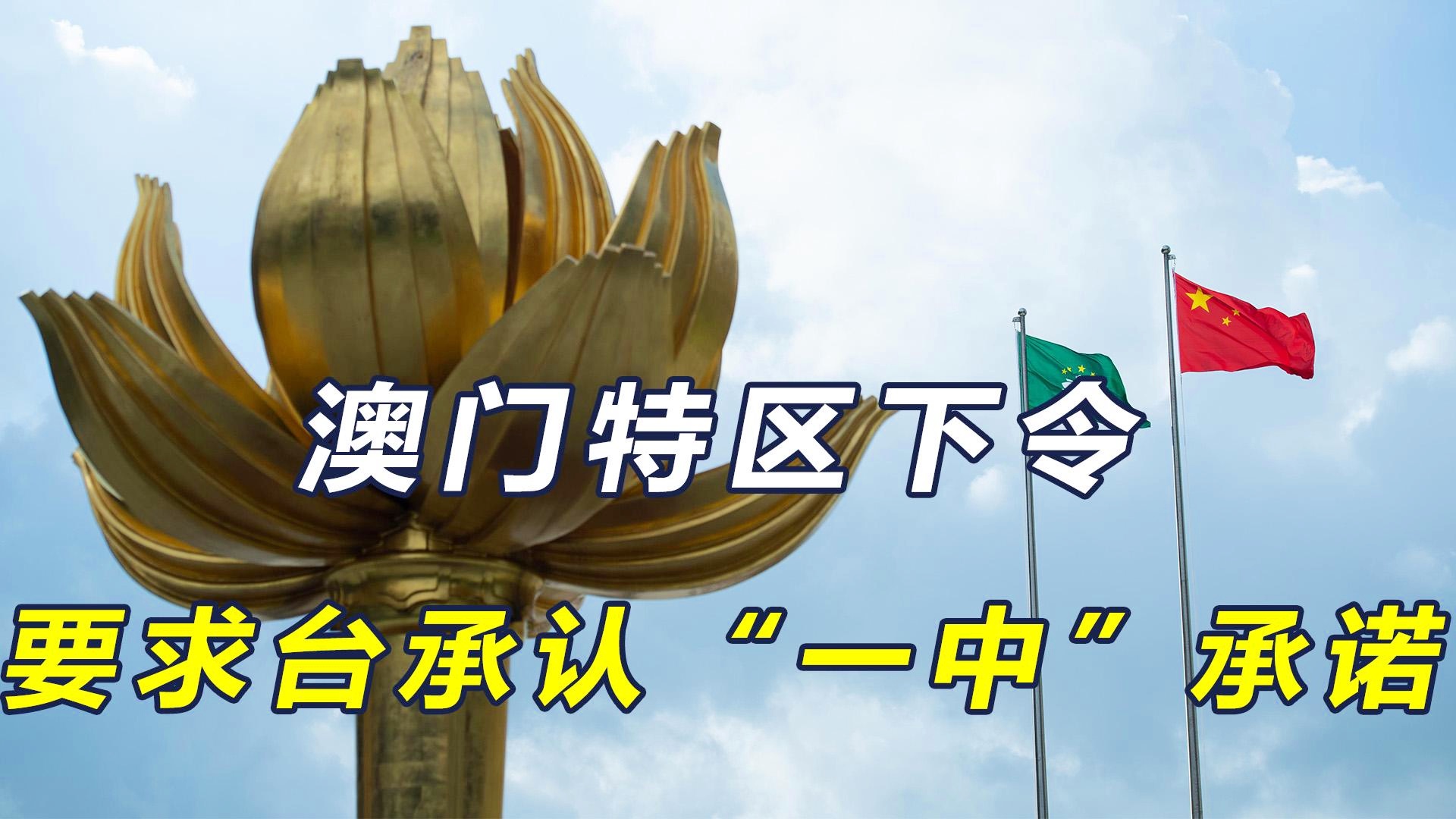 澳門一碼一肖一特一中今晚預測與探索，澳門今晚一碼一肖一特一中預測與揭秘