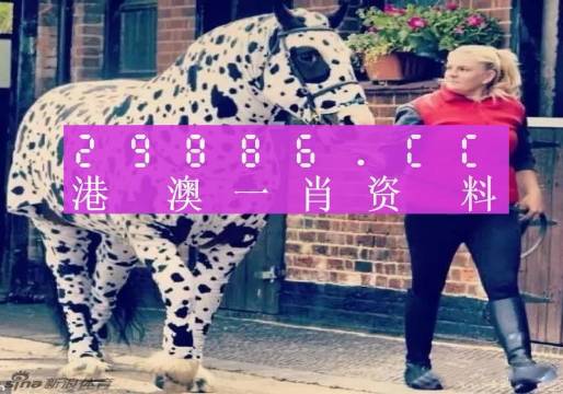 澳門(mén)王中王，一肖一特一中深度解析（180期精彩回顧），澳門(mén)王中王，深度解析第180期精彩回顧，生肖與特碼揭秘