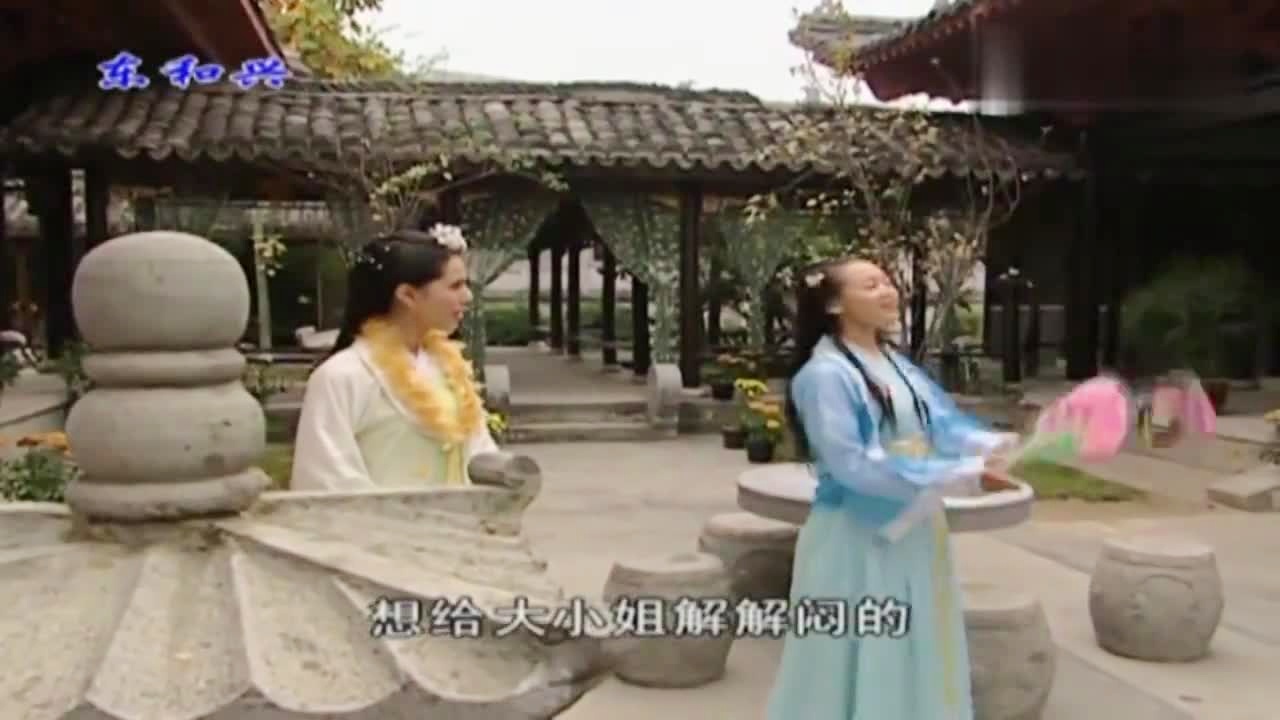 劉伯溫白小姐一肖期期準(zhǔn)，神秘預(yù)測(cè)背后的真相，劉伯溫白小姐生肖預(yù)測(cè)揭秘，神秘預(yù)測(cè)背后的真相