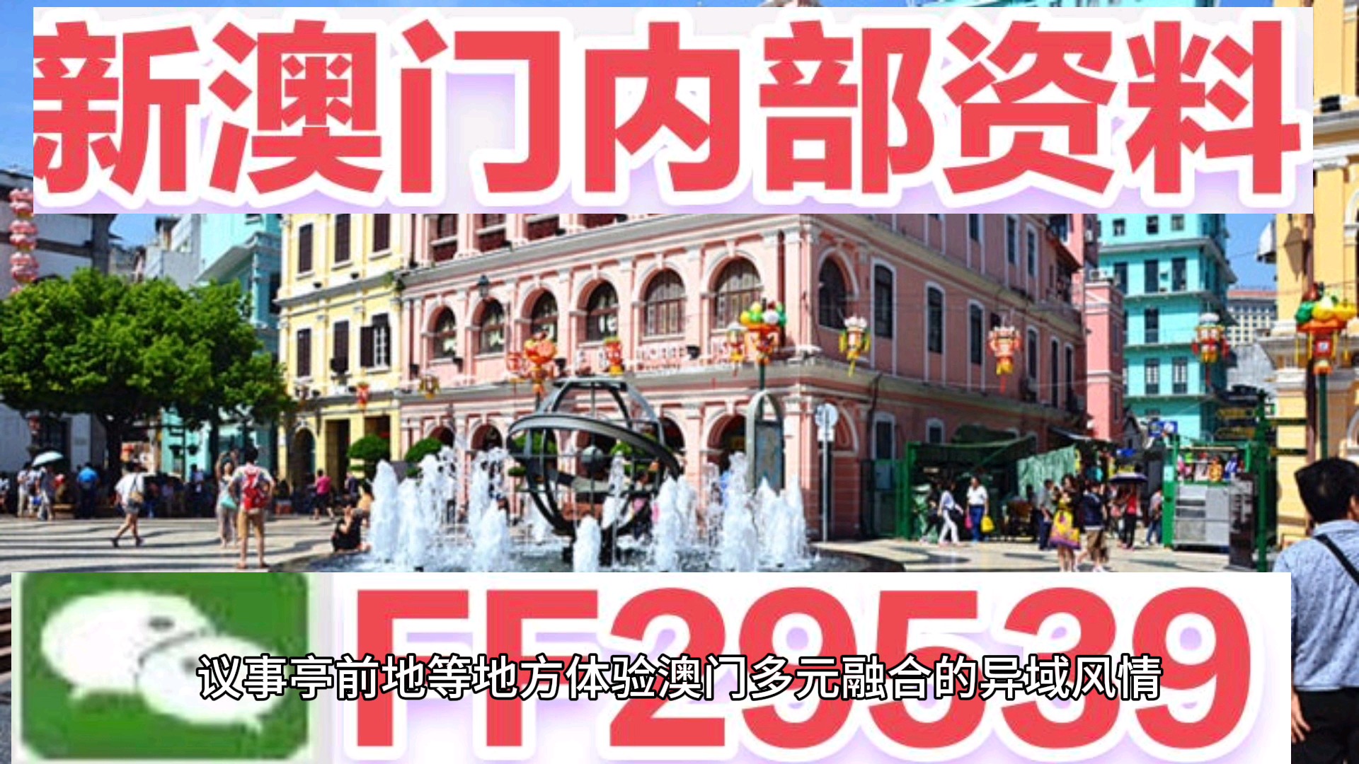 澳門今晚必開一肖一特，揭秘生肖彩票的魅力與策略，澳門生肖彩票揭秘，必開一肖一特的魅力與策略