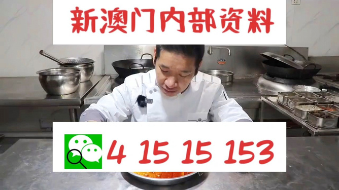 管家婆一肖資料大全，深度解析與探索，管家婆一肖資料深度解析與探索大全