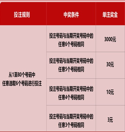 新澳門六開(kāi)彩天天免費(fèi)開(kāi)獎(jiǎng)結(jié)果，揭秘彩票背后的秘密，揭秘新澳門六開(kāi)彩背后的秘密，天天免費(fèi)開(kāi)獎(jiǎng)結(jié)果一網(wǎng)打盡